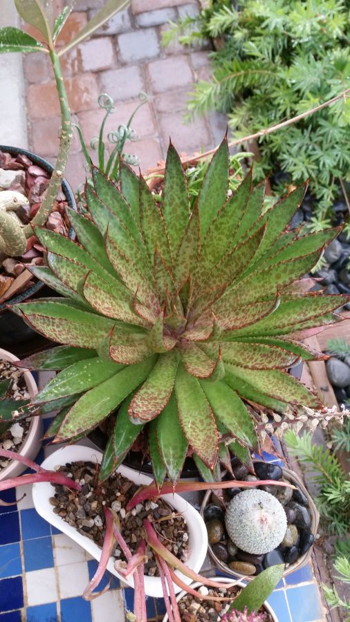 20150318_175748.jpg
