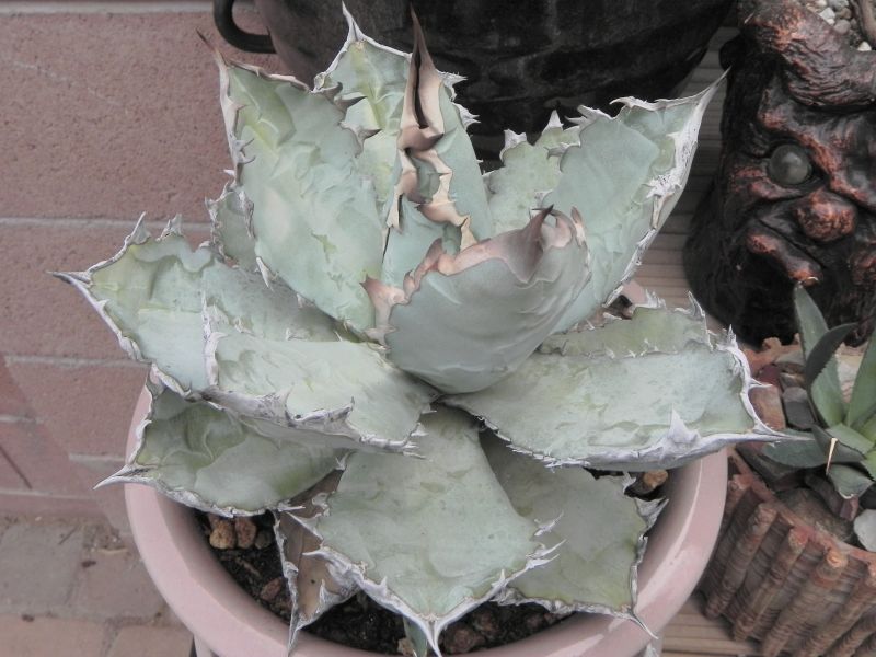 DSCN8360.JPG