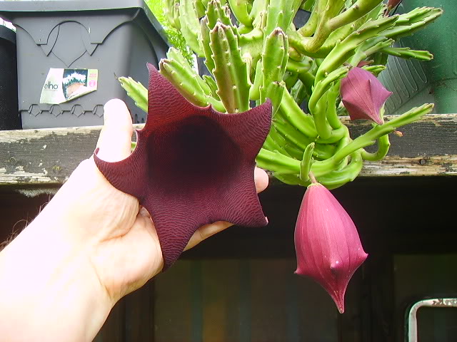 PICT3670.JPG