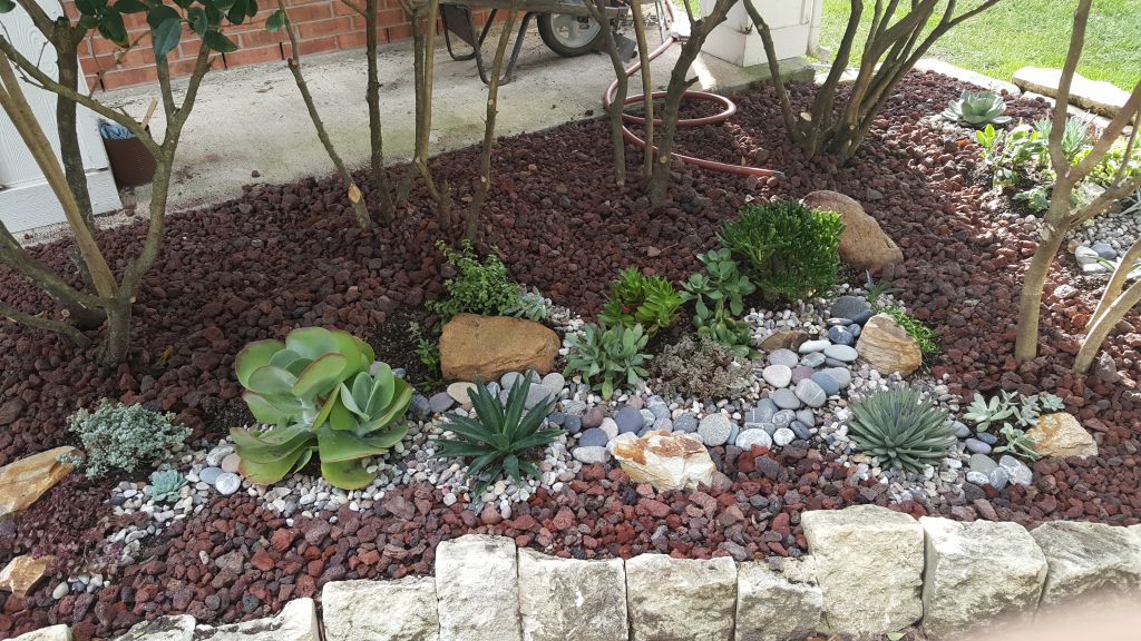 Front garden from summer of 2017