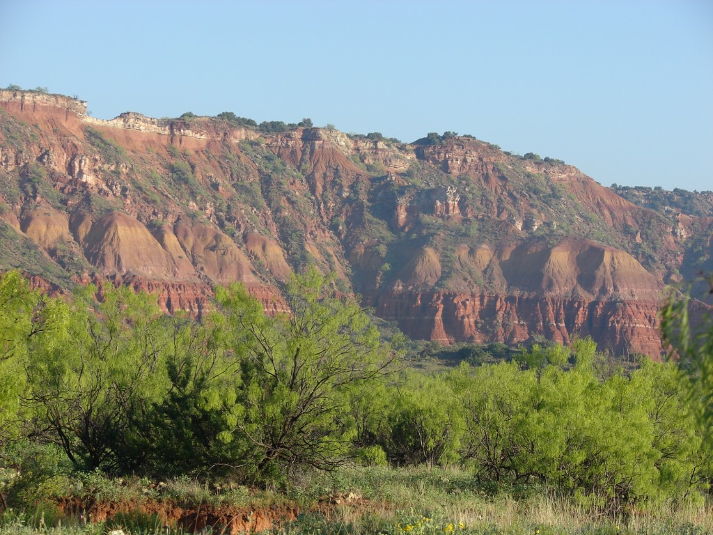 DSC00388.JPG